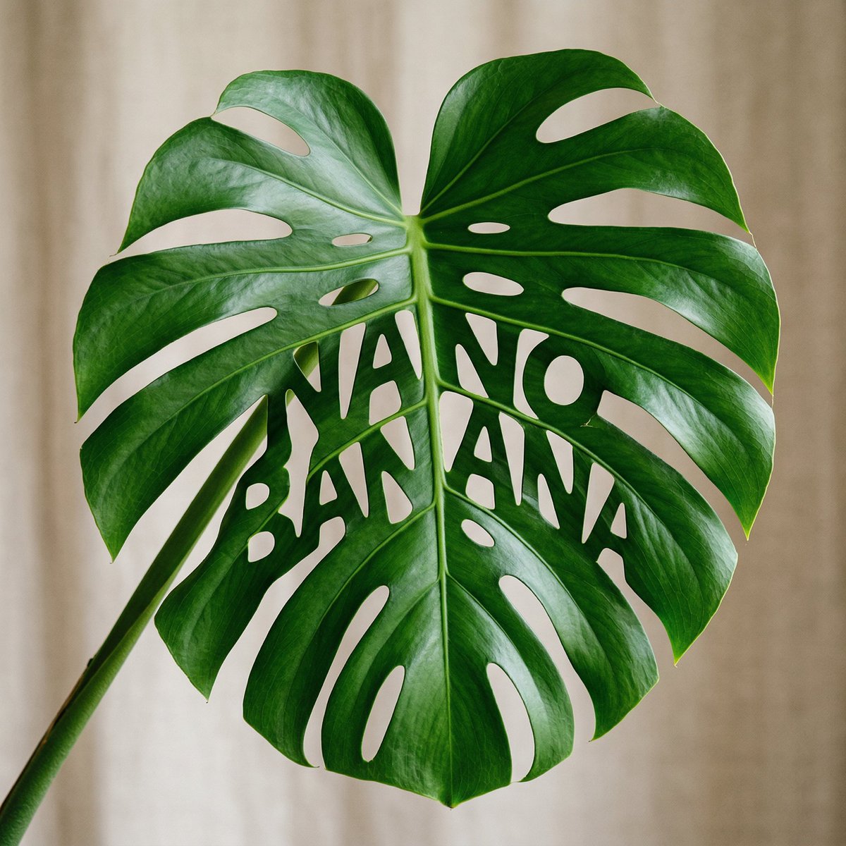 Monstera Leaf Logo Design