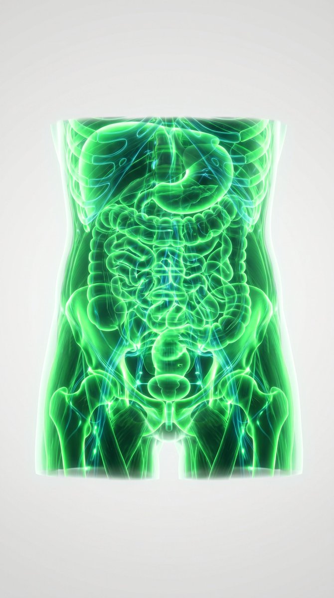 3D Medical Glow Scan Rendering 2