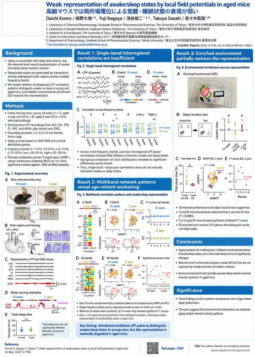 Infographic / Edu Visual - Research Paper Academic Poster