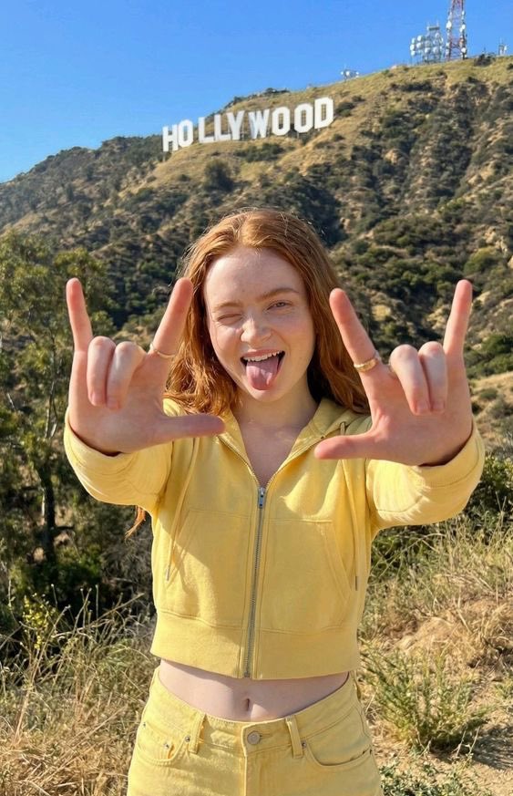 Photorealistic Portrait of Sadie Sink on the Hollywood Hillside