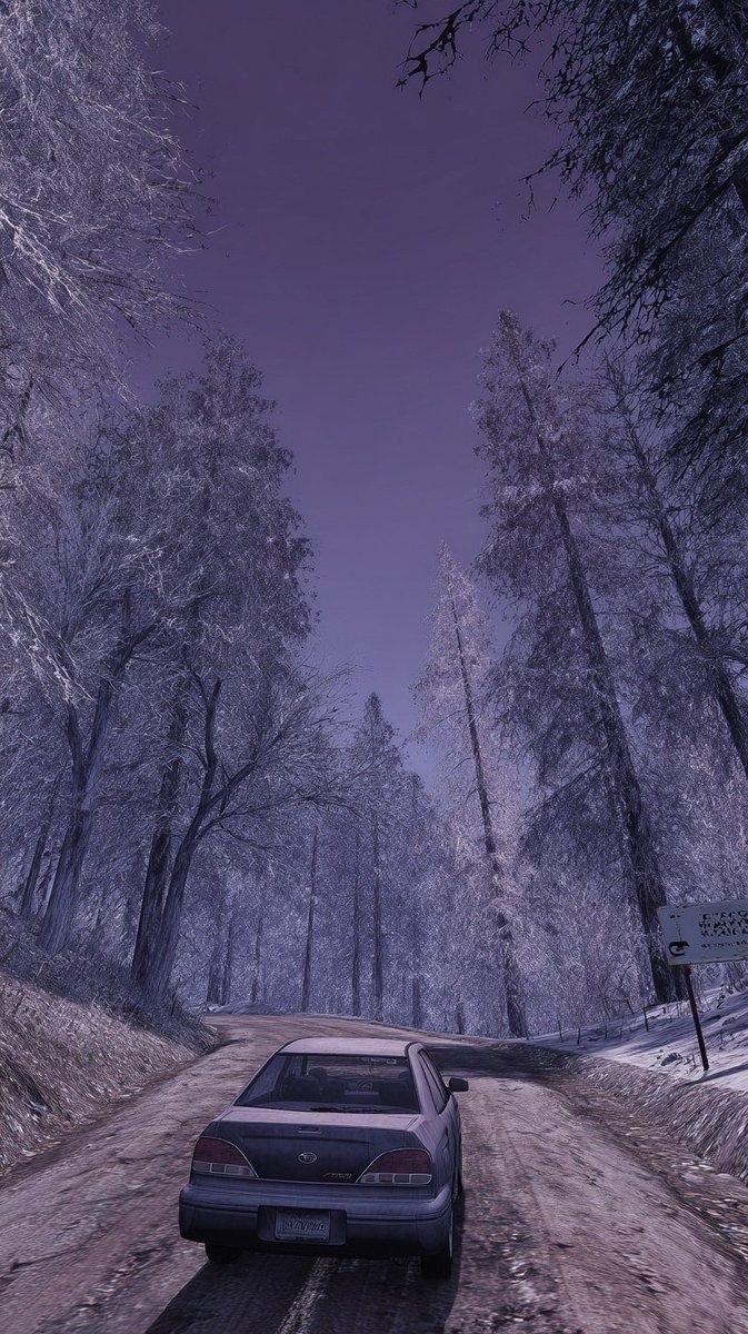 Cinematic Winter Road Landscape 2