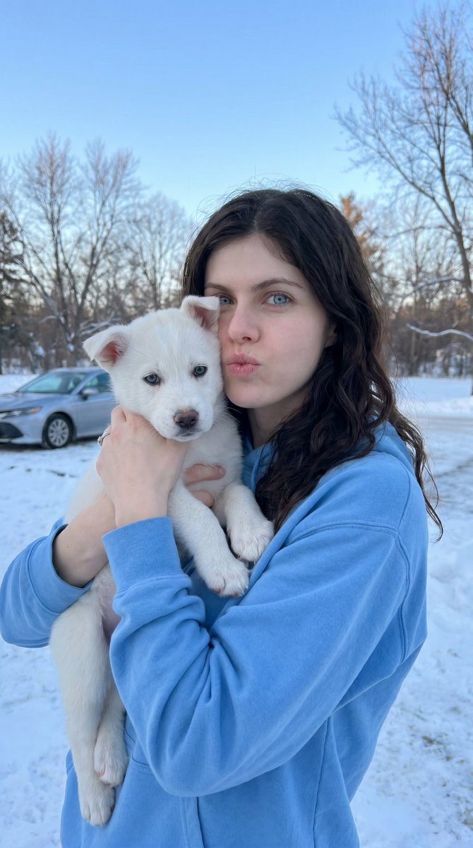 Playful Winter Puppy Portrait 2